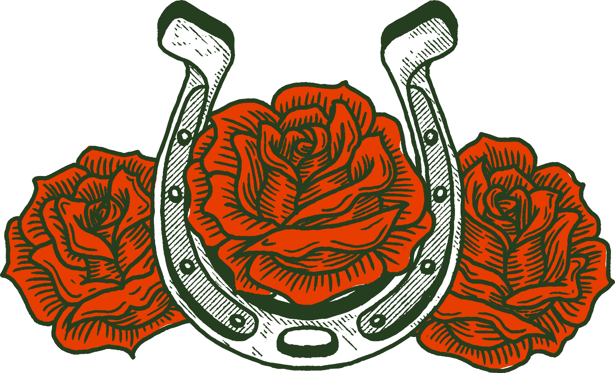 Roses illustration