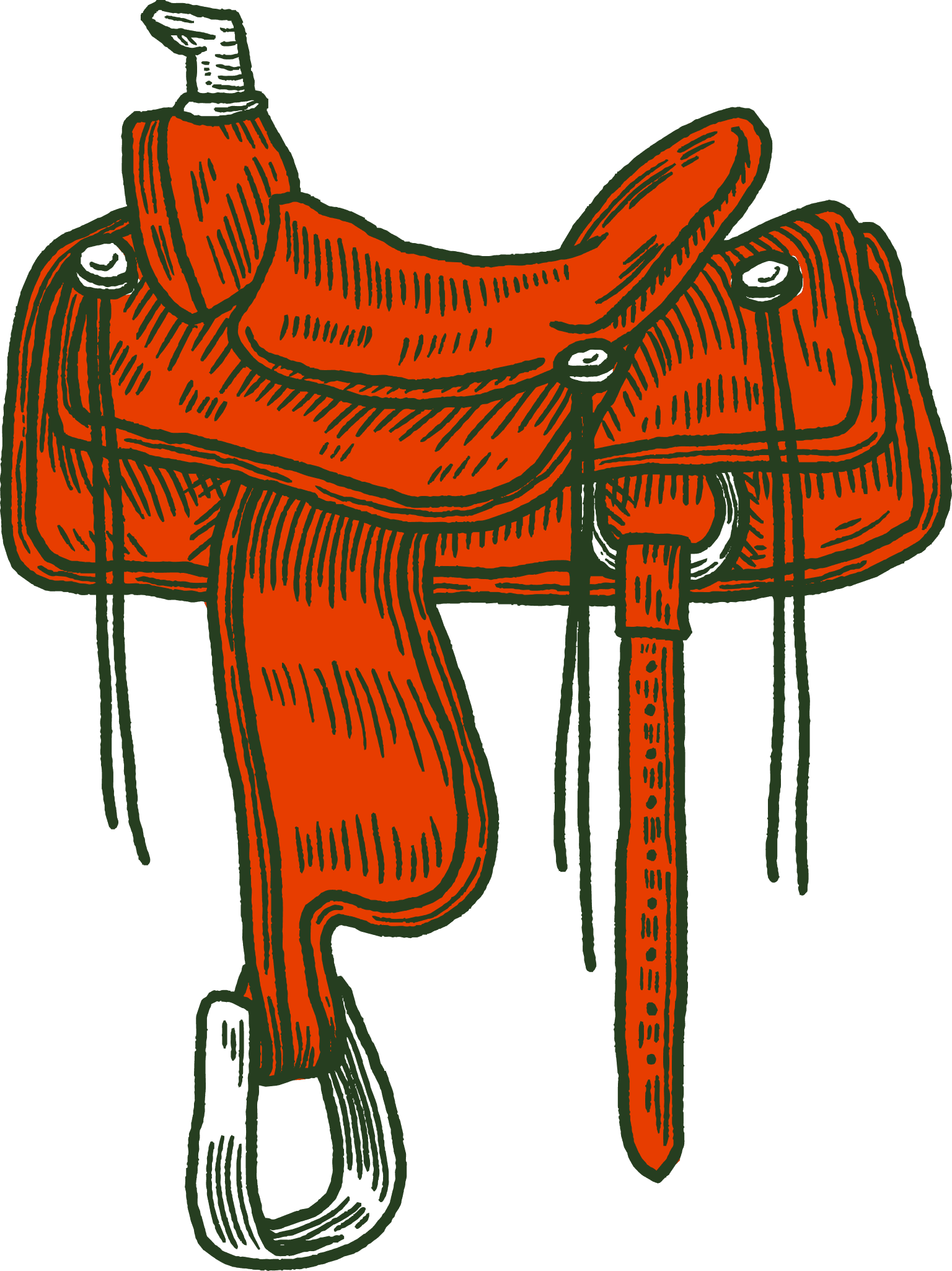 Saddle illustration